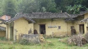 廣東省信宜市茶山鎮渤中茅坪村練氏宗祠