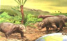 水龍獸[似哺乳爬行動物]