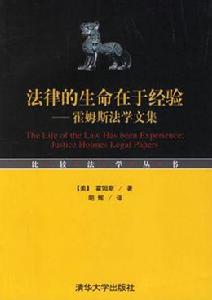 法律的生命在於經驗