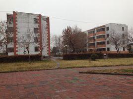 新疆石河子工程技術學校 新疆石河子工程技術學校