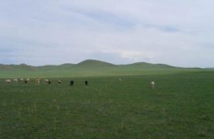 皇家御馬苑 皇家御馬苑