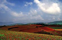“東川紅土地”景觀