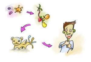 農業轉基因生物 農業轉基因生物