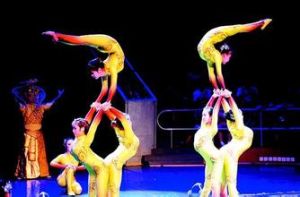 武漢市雜技團 武漢市雜技團