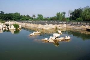 洞天深處 洞天深處