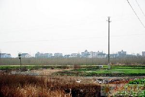 南星橋村[浙江省嘉興市秀洲區王店鎮下轄村]