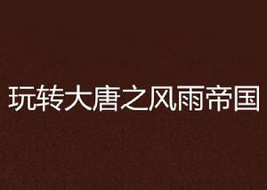 玩轉大唐之風雨帝國 玩轉大唐之風雨帝國