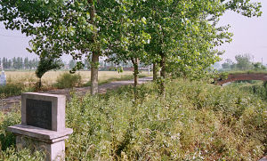 范公堤遺址 范公堤遺址