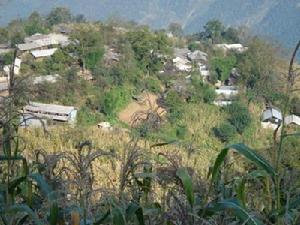 念多自然村 念多自然村