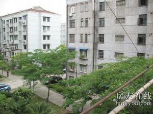 淞南七村 淞南七村