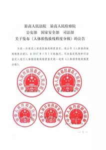 人體損傷致殘程度分級 人體損傷致殘程度分級