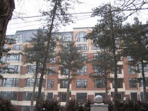 中海南湖1號 中海南湖1號