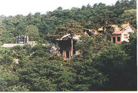 交城山國家森林公園 交城山國家森林公園