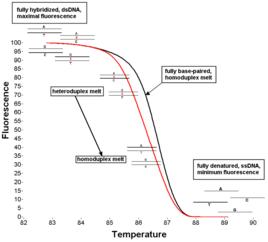 高解析度熔解曲線 高解析度熔解曲線