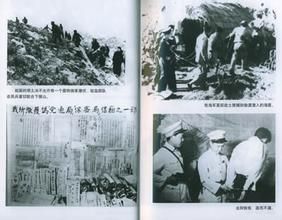 華東剿匪 華東剿匪