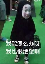 我能怎么辦啊我也很絕望啊