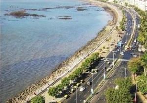 阿布基爾海灣戰役 阿布基爾海灣戰役