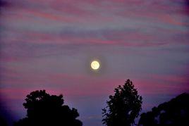 如夢令·好箇中秋時節 如夢令·好箇中秋時節