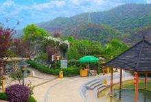 楓灣溫泉度假村