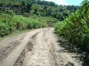 上普牙村 上普牙村