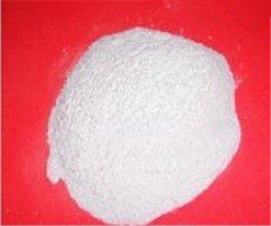 微粉化雙氰胺 微粉化雙氰胺