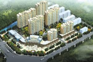 濱州金色年華 濱州金色年華