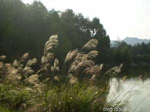 (圖)重慶市綦江縣東溪鎮