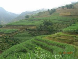 窪底河自然村一組村耕地