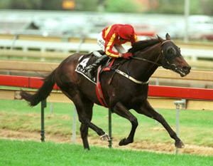 北京通順賽馬場