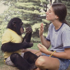 尼姆跟著志願者喬伊斯•巴特勒學習肢體語言