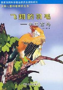 飛翔的羽毛 飛翔的羽毛