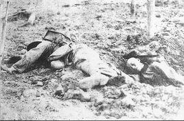 木村千代太 木村千代太