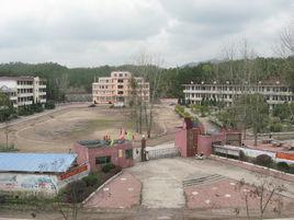 龍口村[江西省興國縣龍口鎮龍口村]