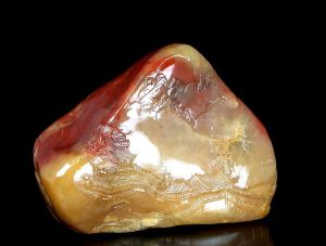 《遲暮情緣》 《遲暮情緣》