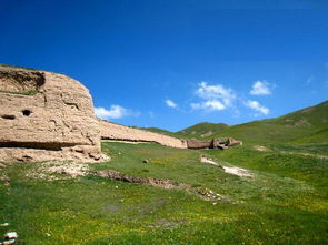 吐谷渾夸呂 吐谷渾夸呂