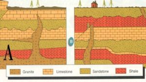 相對地質 年代 定年 藍秀茹編