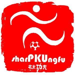 北大功夫隊