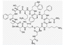 生長抑素 生長抑素