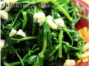 酒香豌豆尖 酒香豌豆尖