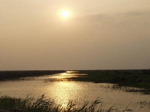 高效生態 高效生態