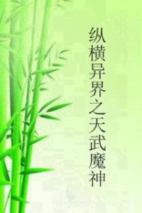 縱橫異界之天武魔神 縱橫異界之天武魔神