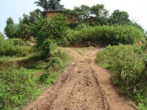 小曼會自然村 小曼會自然村