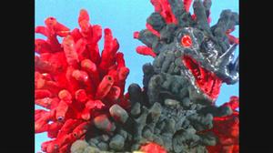 異次元超獸——藍光截圖