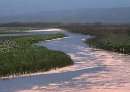 糙度係數 糙度係數