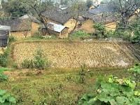 阿梳寨自然村 阿梳寨自然村