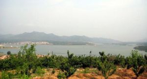 張格莊鎮 張格莊鎮