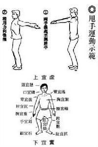 甩手運動 甩手運動