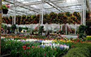 寧夏園藝產業園 寧夏園藝產業園