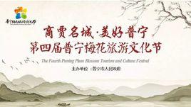 普寧梅花旅遊文化節 普寧梅花旅遊文化節