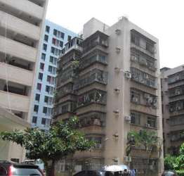 龍電花園 龍電花園